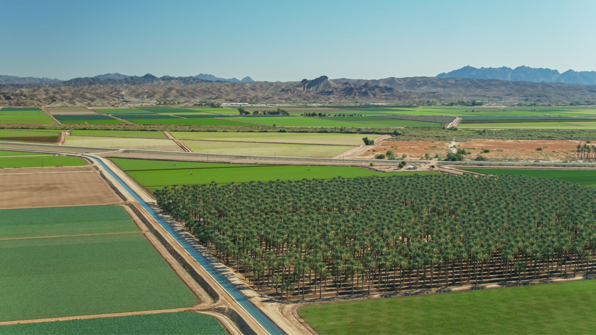 senior home care in Los Angeles